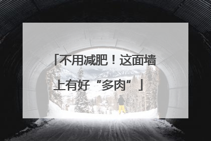 不用减肥！这面墙上有好“多肉”