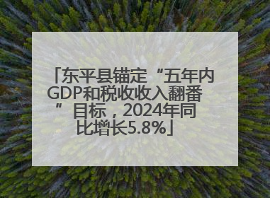 东平县锚定“五年内GDP和税收收入翻番”目标，2024年同比增长5.8%