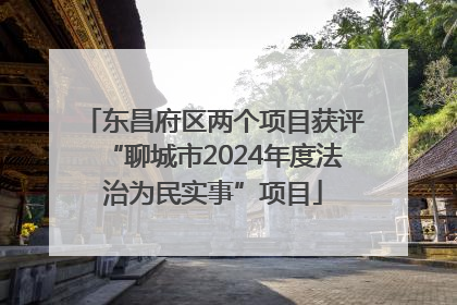 东昌府区两个项目获评“聊城市2024年度法治为民实事”项目