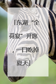 东湖“全荷宴”开席，一口吃掉夏天