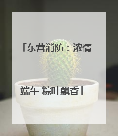 东营消防：浓情端午 粽叶飘香