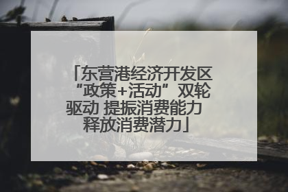 东营港经济开发区“政策+活动”双轮驱动 提振消费能力 释放消费潜力