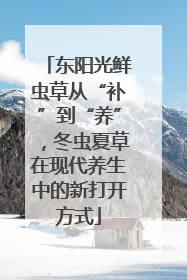 东阳光鲜虫草从“补”到“养”，冬虫夏草在现代养生中的新打开方式