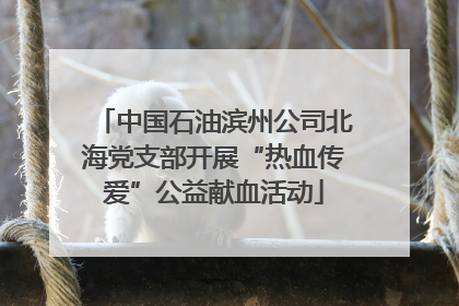 中国石油滨州公司北海党支部开展“热血传爱”公益献血活动