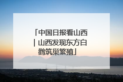 中国日报看山西｜山西发现东方白鹳筑巢繁殖