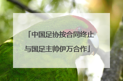 中国足协按合同终止与国足主帅伊万合作