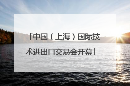 中国（上海）国际技术进出口交易会开幕