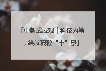 中新武威观｜科技为笔，绘就夏粮“丰”景