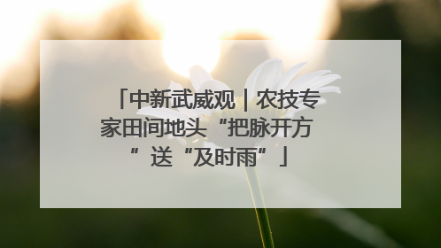 中新武威观｜农技专家田间地头“把脉开方”送“及时雨”