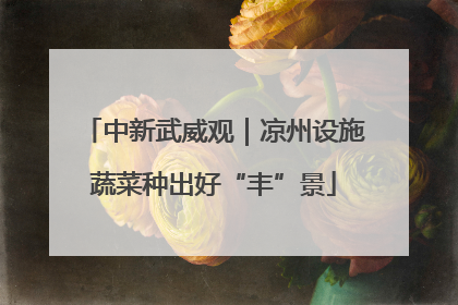 中新武威观｜凉州设施蔬菜种出好“丰”景