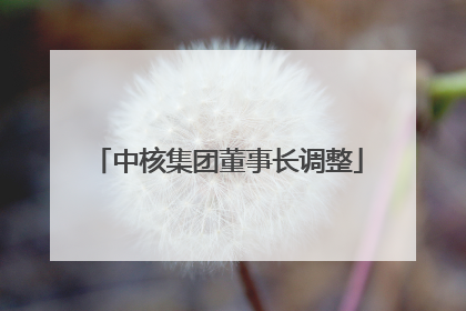 中核集团董事长调整