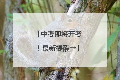 中考即将开考！最新提醒→