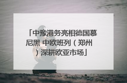 中豫港务亮相德国慕尼黑 中欧班列（郑州）深耕欧亚市场