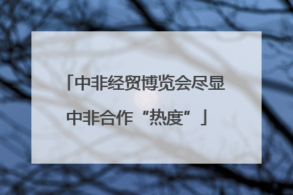 中非经贸博览会尽显中非合作“热度”