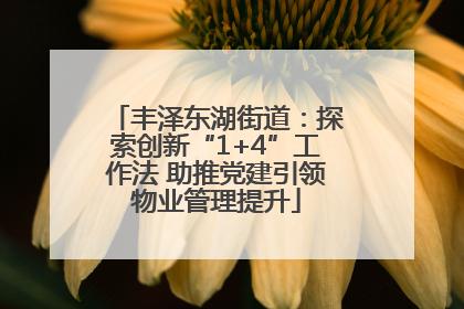 丰泽东湖街道：探索创新“1+4”工作法 助推党建引领物业管理提升