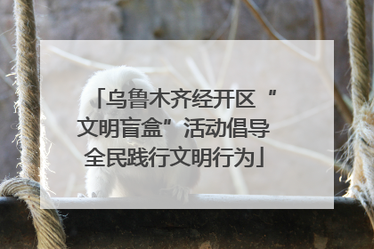乌鲁木齐经开区“文明盲盒”活动倡导全民践行文明行为