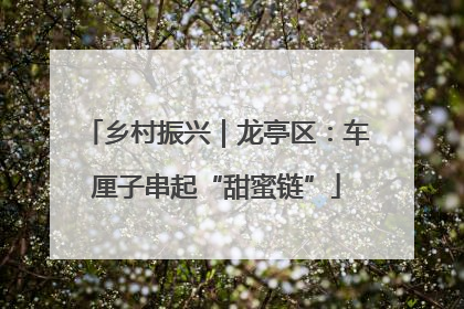 乡村振兴｜龙亭区：车厘子串起“甜蜜链”