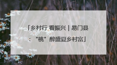 乡村行 看振兴｜易门县：“桃”醉盛夏乡村富