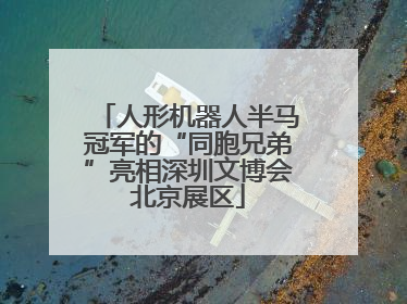人形机器人半马冠军的“同胞兄弟”亮相深圳文博会北京展区