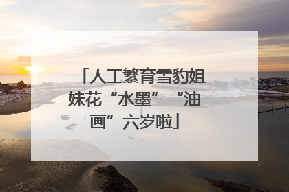 人工繁育雪豹姐妹花“水墨”“油画”六岁啦