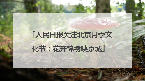 人民日报关注北京月季文化节：花开锦绣映京城