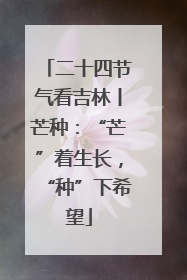 二十四节气看吉林丨芒种：“芒”着生长，“种”下希望