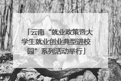云南“就业政策暨大学生就业创业典型进校园”系列活动举行