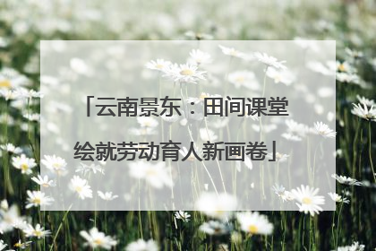 云南景东：田间课堂绘就劳动育人新画卷