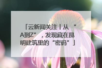 云新闻关注丨从 “A到Z”，发现藏在昆明建筑里的“密码”