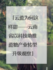 云蔗为何这样甜——云南省以科技助推蔗糖产业转型升级观察