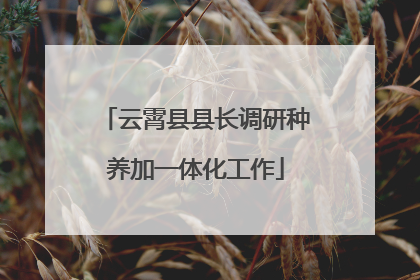 云霄县县长调研种养加一体化工作