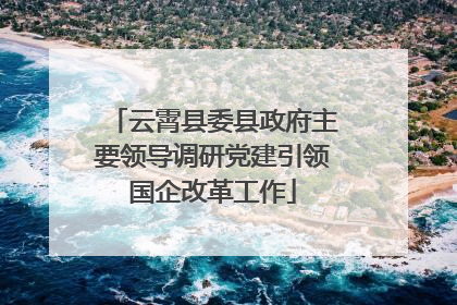 云霄县委县政府主要领导调研党建引领国企改革工作