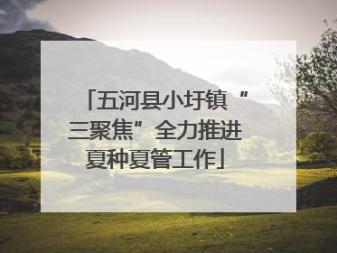 五河县小圩镇“三聚焦”全力推进夏种夏管工作