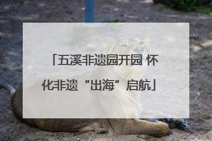 五溪非遗园开园 怀化非遗“出海”启航