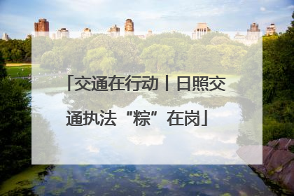 交通在行动丨日照交通执法“粽”在岗