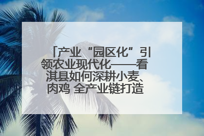 产业“园区化”引领农业现代化——看淇县如何深耕小麦、肉鸡 全产业链打造现代农业产业园