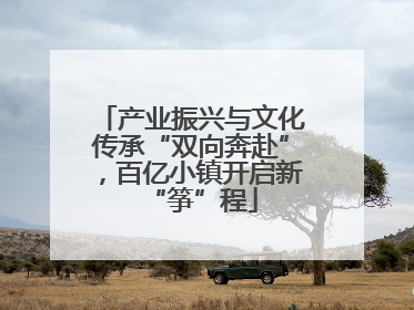 产业振兴与文化传承“双向奔赴”，百亿小镇开启新“筝”程