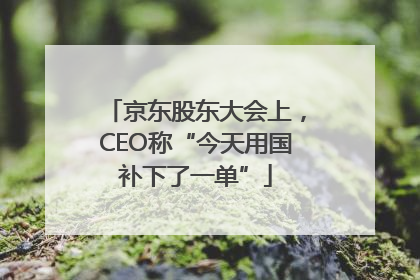 京东股东大会上，CEO称“今天用国补下了一单”
