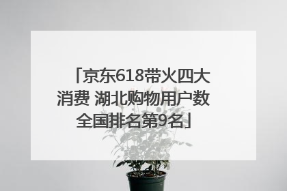 京东618带火四大消费 湖北购物用户数全国排名第9名