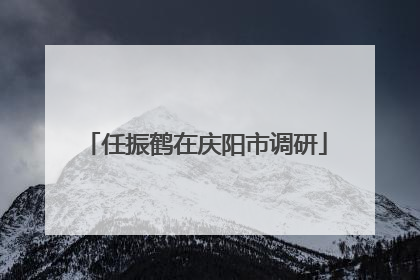 任振鹤在庆阳市调研