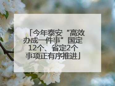 今年泰安“高效办成一件事”国定12个、省定2个事项正有序推进