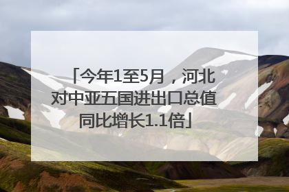 今年1至5月，河北对中亚五国进出口总值同比增长1.1倍