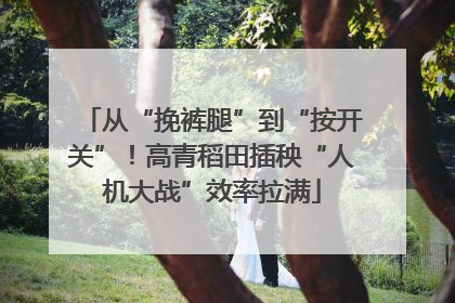 从“挽裤腿”到“按开关”！高青稻田插秧“人机大战”效率拉满