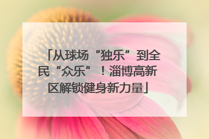 从球场“独乐”到全民“众乐”！淄博高新区解锁健身新力量