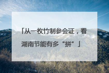 从一枚竹制参会证，看湖南节能有多“拼”