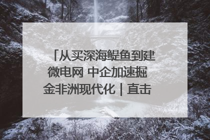 从买深海鳀鱼到建微电网 中企加速掘金非洲现代化｜直击中非经贸博览会