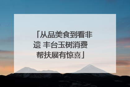 从品美食到看非遗 丰台玉树消费帮扶展有惊喜