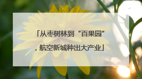 从枣树林到“百果园”，航空新城种出大产业