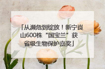 从濒危到绽放！新宁崀山600株“国宝兰”获省级生物保护嘉奖