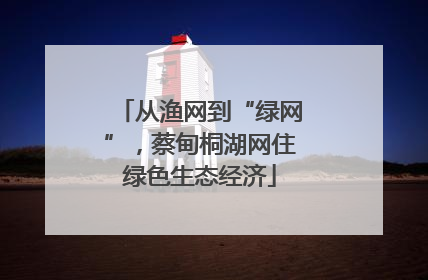 从渔网到“绿网”，蔡甸桐湖网住绿色生态经济